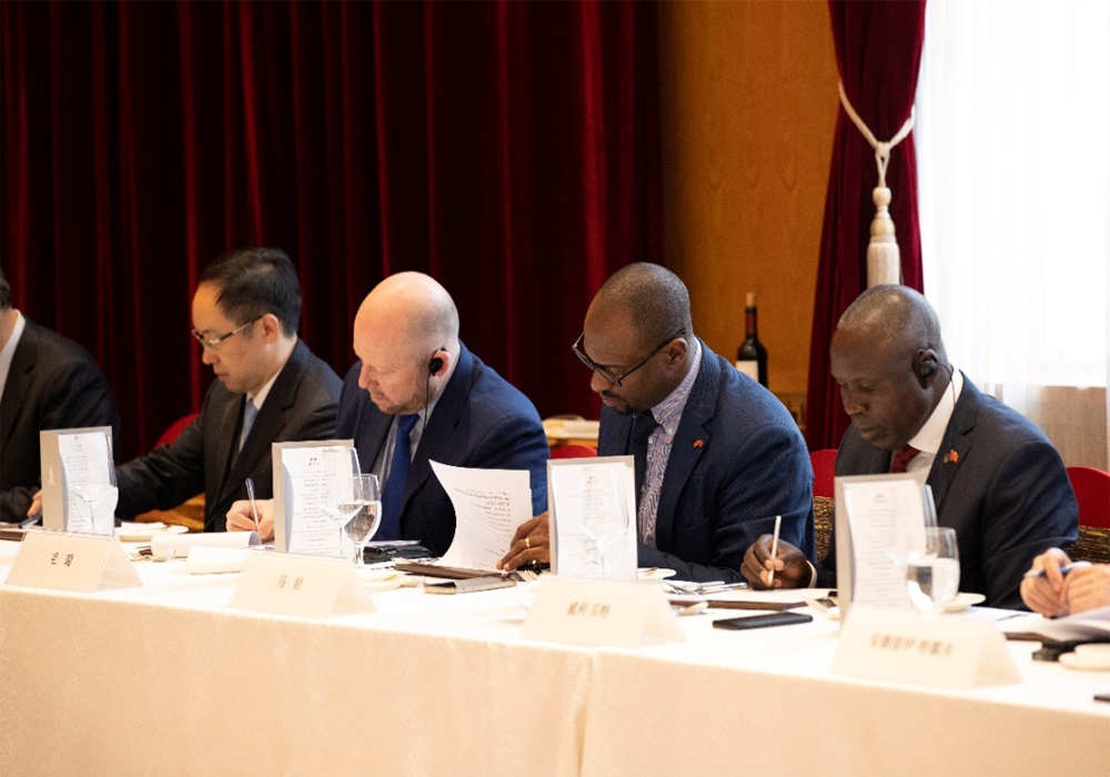 “中国经济展望”大使圆桌对话会举行