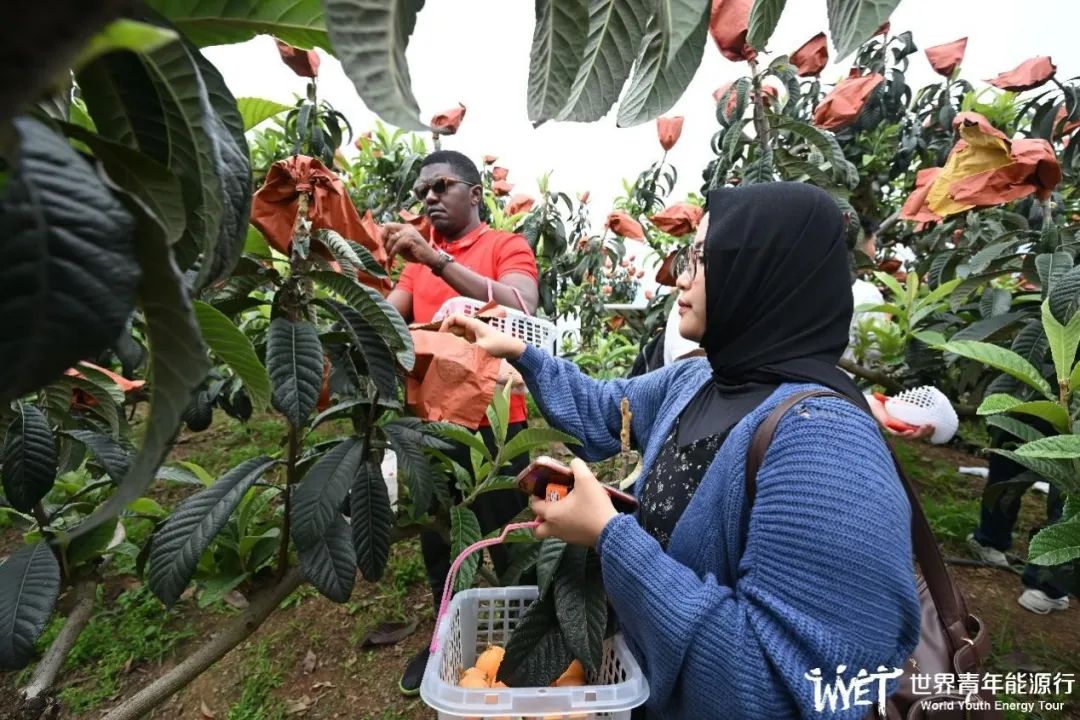 2025世界青年能源行：追光逐水 探寻千里江山的青绿柔情